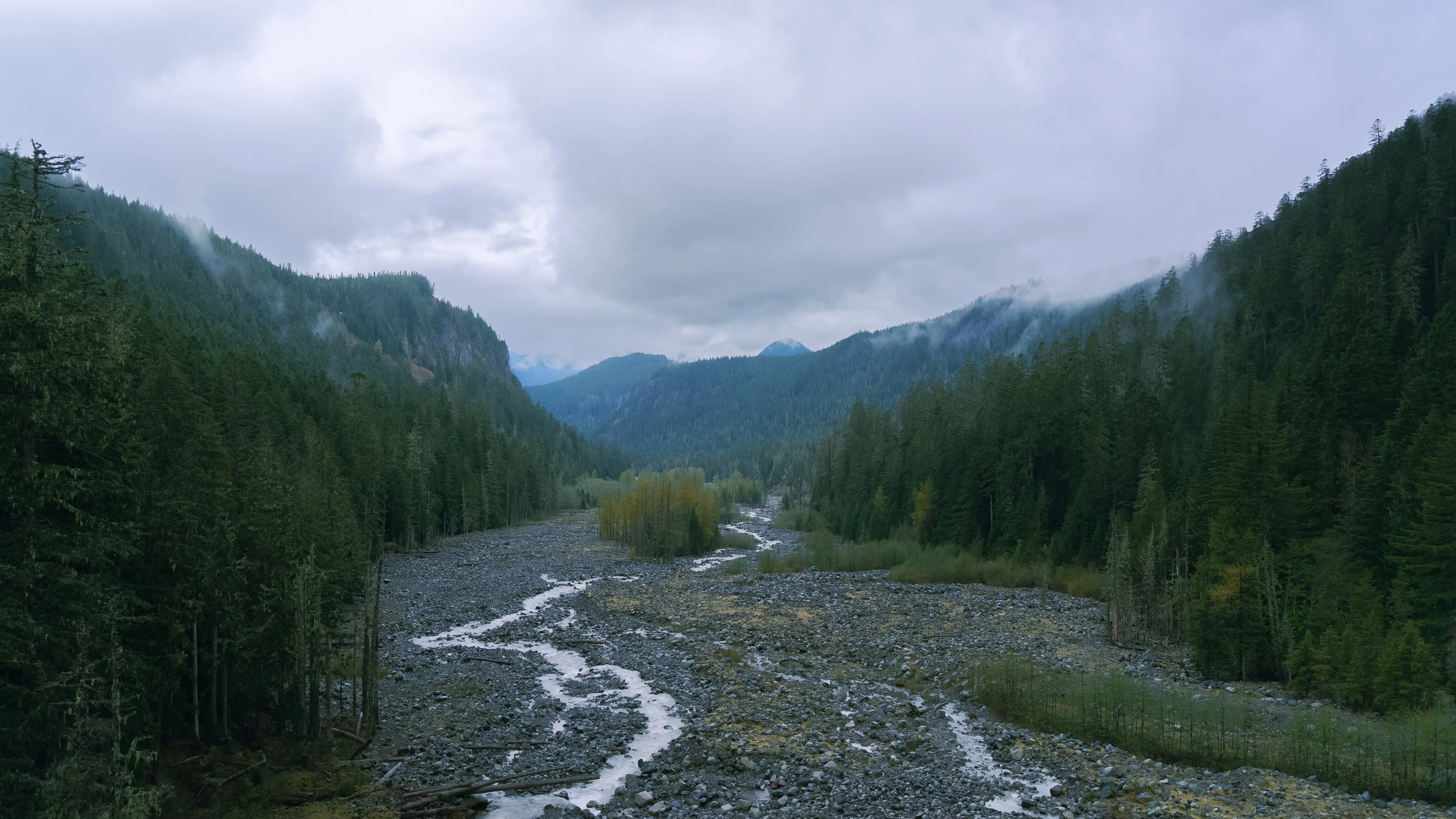 mount rainer